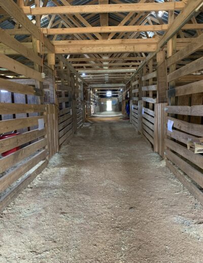 Inside the barn