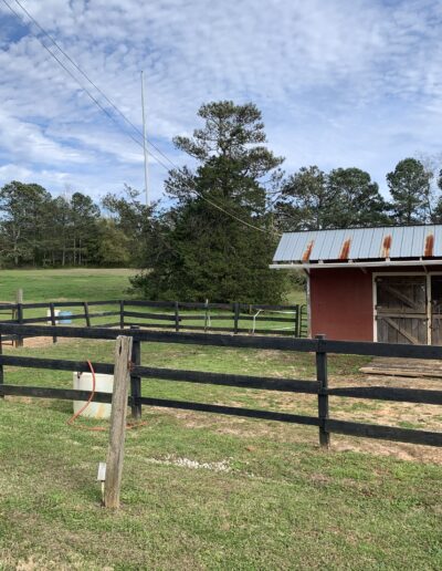 A view of one of our many pastures with catch pen and mini barn.