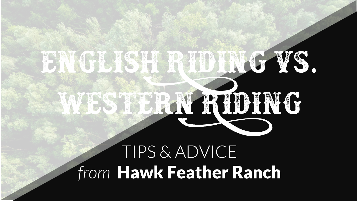 Graphic to latest blog post called English Riding vs. Western Riding.